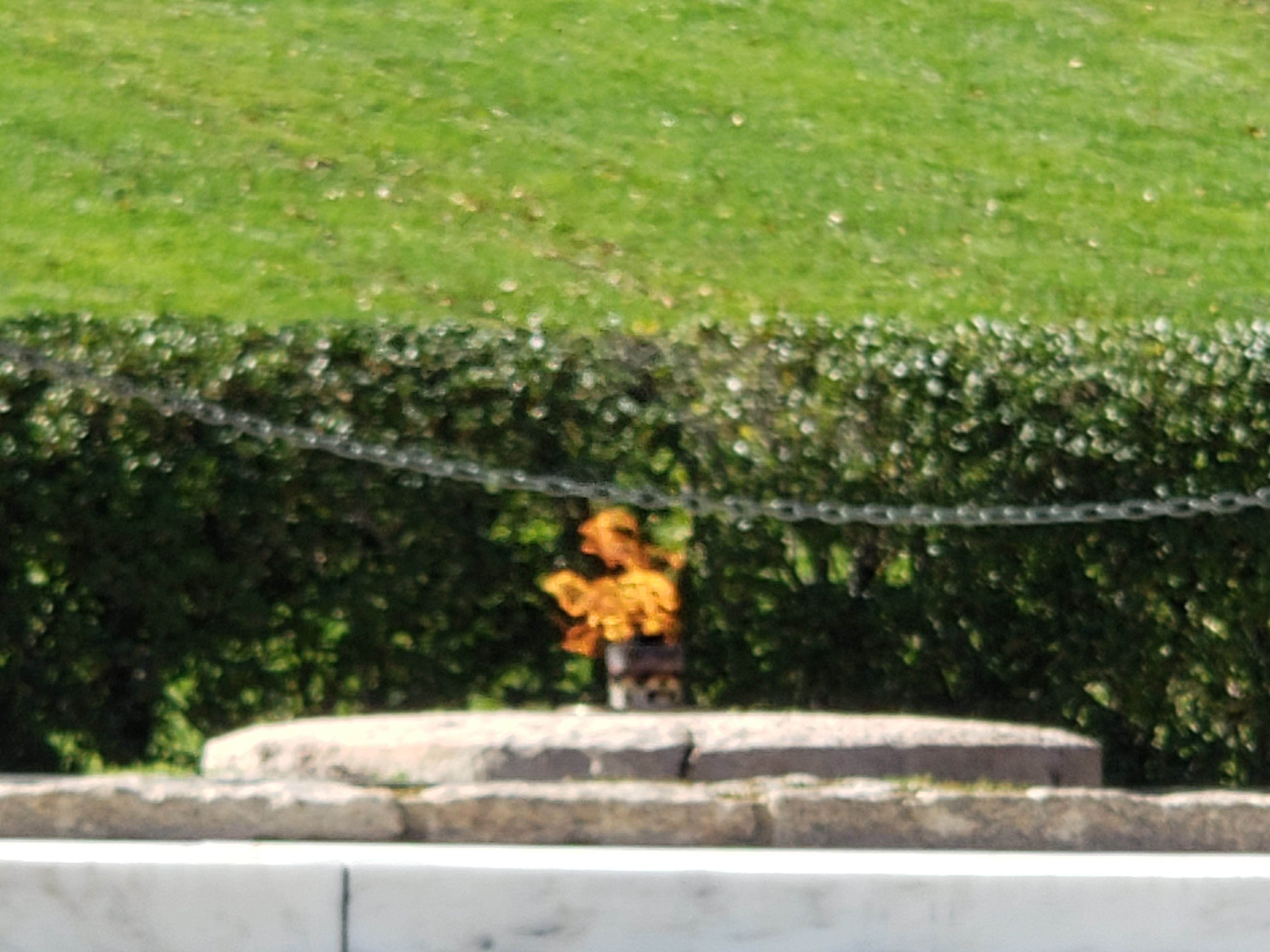 20201107_115507